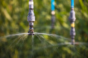 A center pivot irrigation system watering corn in the Oklahoma panhandle