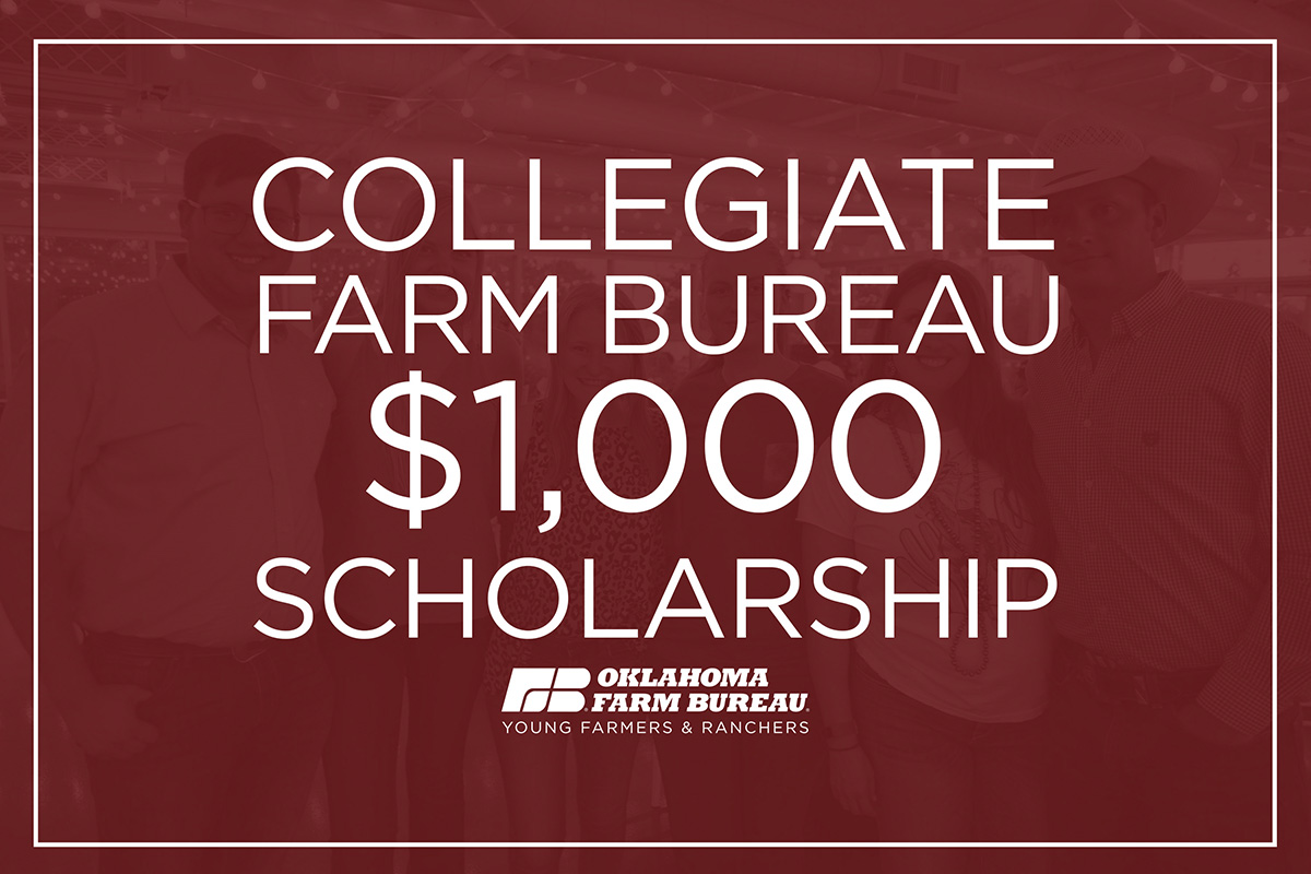 2021 YF&R Collegiate Farm Bureau scholarship application open