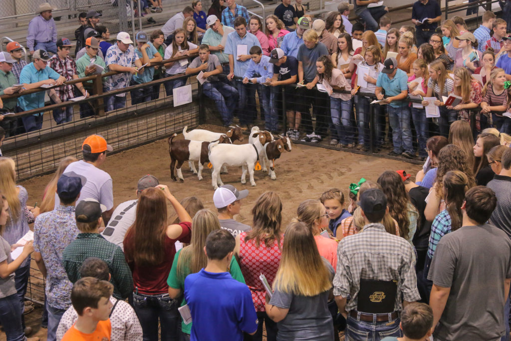 YF&R to host annual State Fair livestock judging contest Sept. 12