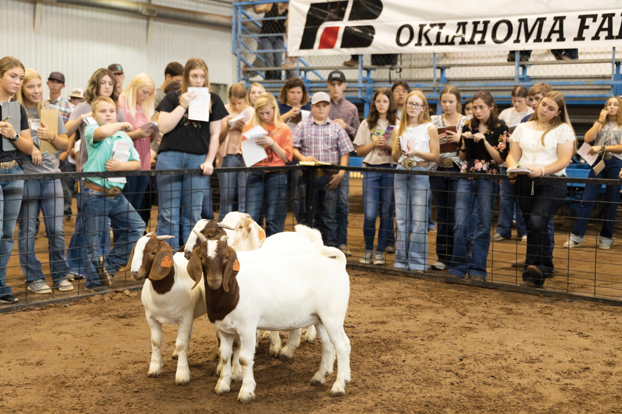 OKFB YF&R to host state fair livestock judging contest Sept. 15