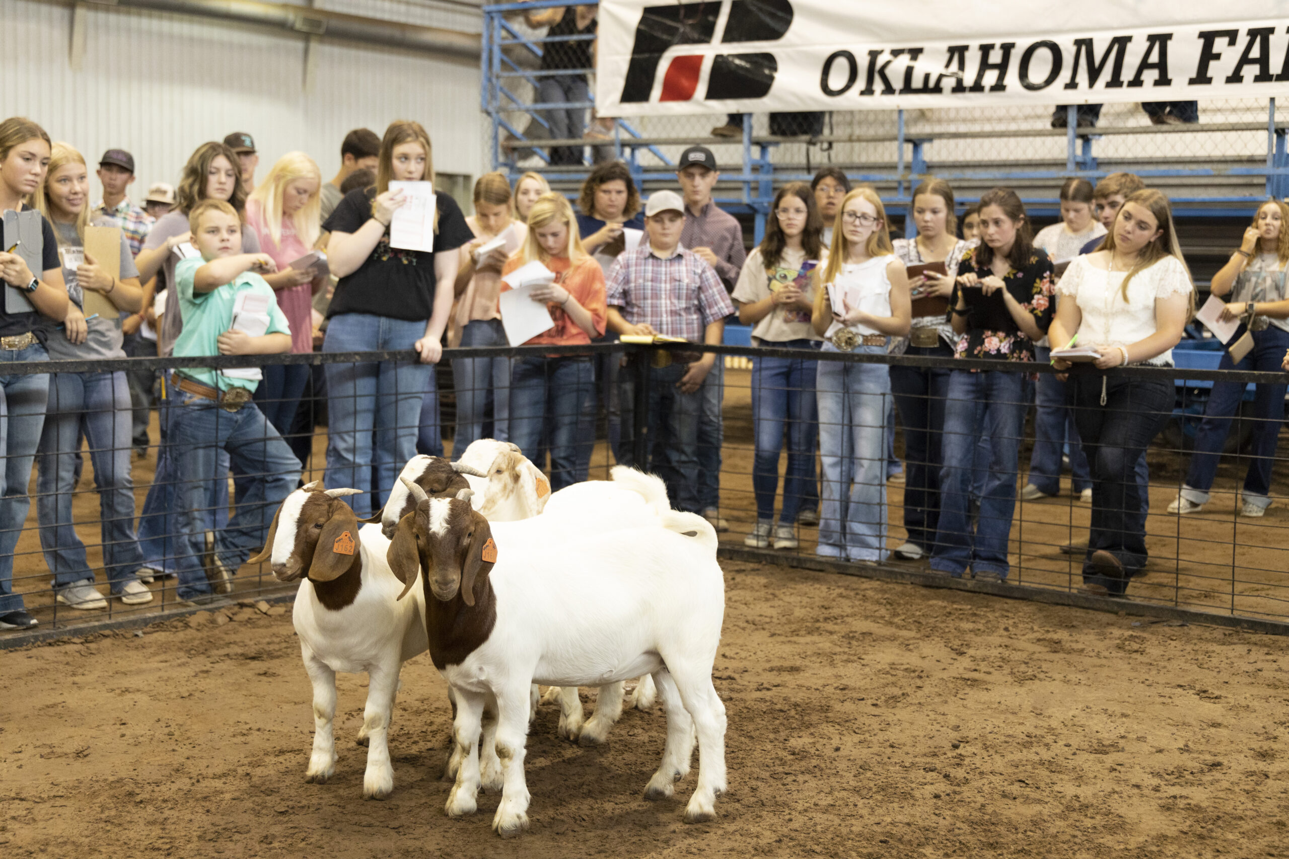 OKFB YF&R hosts state fair livestock judging contest Oklahoma Farm Bureau