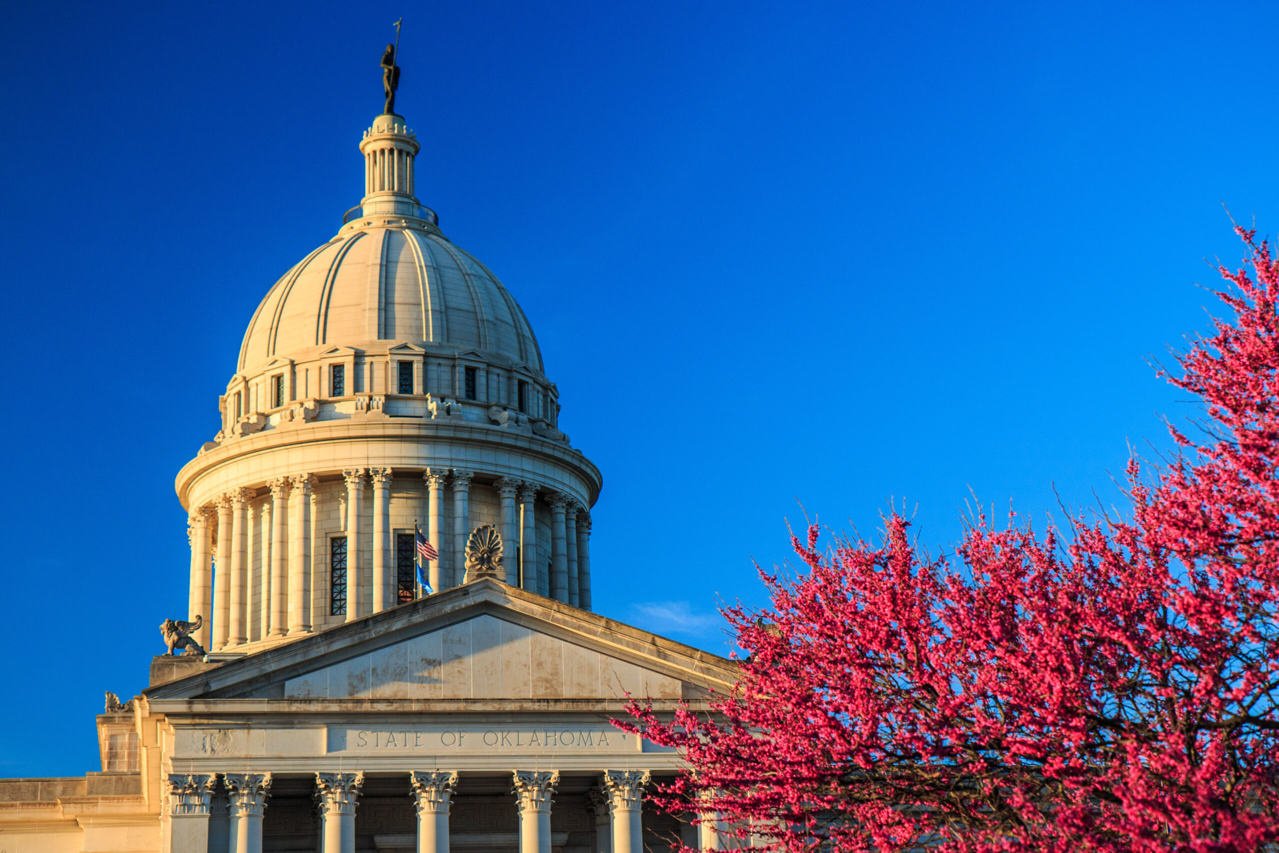 OKFB releases 2021 legislative priorities Oklahoma Farm Bureau