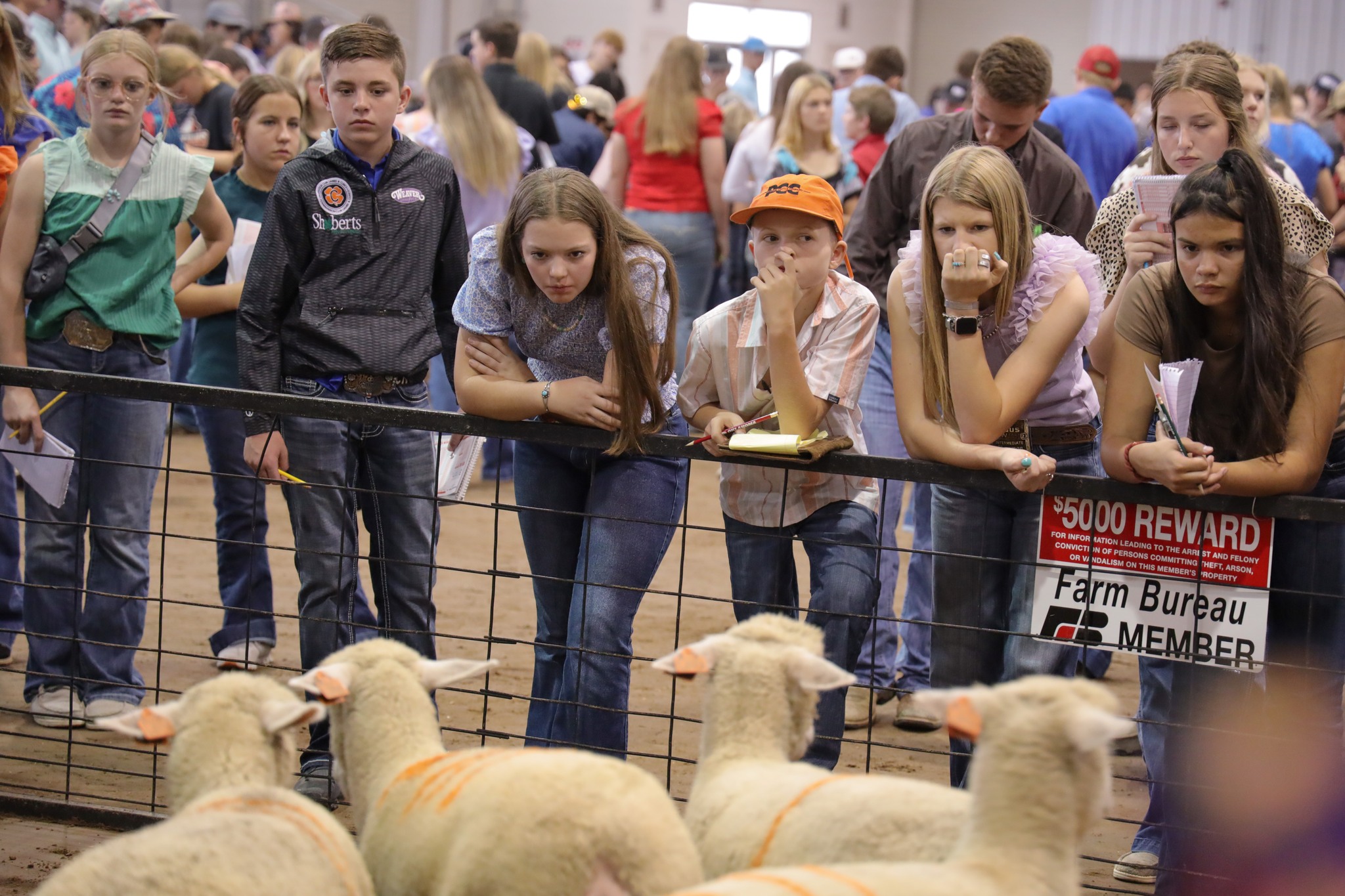 OKFB YF&R hosts successful state fair livestock judging contest